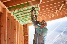 Best Blown-In Insulation  in Greensboro, GA