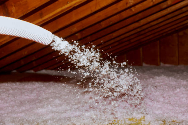 Best Spray Foam Insulation  in Greensboro, GA